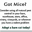 Thumbnail photo of Barn Cats #2