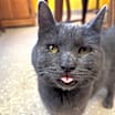 Thumbnail photo of Elgie #3