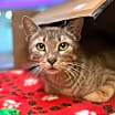 Thumbnail photo of Molly #2