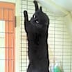 Thumbnail photo of Eddie #2