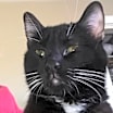 Thumbnail photo of Milo #3