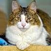 Thumbnail photo of Zoey 081621 #3