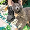 Thumbnail photo of Ash #2