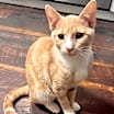 Thumbnail photo of Gerri #2