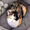 Thumbnail photo of Frannie #2