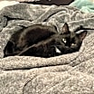 Thumbnail photo of Jammy #2