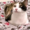 Thumbnail photo of Frannie #3