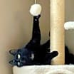 Thumbnail photo of Jammy #3