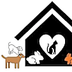 Thumbnail photo of GenericCatAdoptionCollage #2