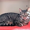 Thumbnail photo of Lorelai #2