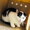 Thumbnail photo of Catrick Swayze #2