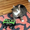 Thumbnail photo of Charlie #2