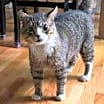 Thumbnail photo of Charlie #3
