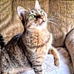 Thumbnail photo of Twiggy #3