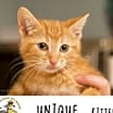 Thumbnail photo of Unique #3