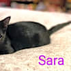 Thumbnail photo of Sara #2