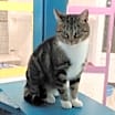 Thumbnail photo of Molly #2
