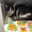 Thumbnail photo of Jill #2