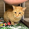 Thumbnail photo of Paul #3