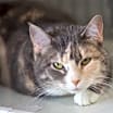 Thumbnail photo of Lilli #2