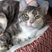 Thumbnail photo of Lilli #3