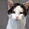 Thumbnail photo of Marco #2