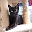 Thumbnail photo of Flip (Nutmeg) #3