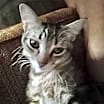 Thumbnail photo of Marla #4