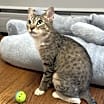 Thumbnail photo of Flossie #2
