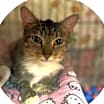 Thumbnail photo of Flossie #3