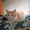 Thumbnail photo of Gunther #3