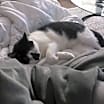 Thumbnail photo of Lola #2
