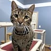 Thumbnail photo of Fiona #2