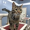 Thumbnail photo of Fiona #3