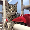 Thumbnail photo of Fiona #4