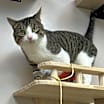 Thumbnail photo of Axel #2