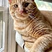 Thumbnail photo of Bubba Alfred #1