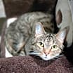 Thumbnail photo of Ash #1