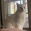 Thumbnail photo of Lily Ann #2