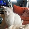 Thumbnail photo of Lily Ann #3