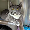 Thumbnail photo of Marcus #1
