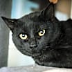 Thumbnail photo of TipToe #1