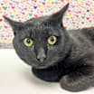 Thumbnail photo of TipToe #2