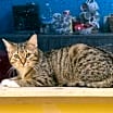 Thumbnail photo of Ghost #1