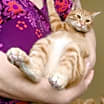 Thumbnail photo of Parker #1