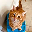 Thumbnail photo of Parker #2