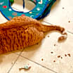 Thumbnail photo of Parker #3