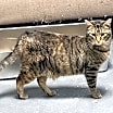Thumbnail photo of Clover #4