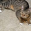 Thumbnail photo of Harold #2