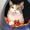 Thumbnail photo of Ethan #3